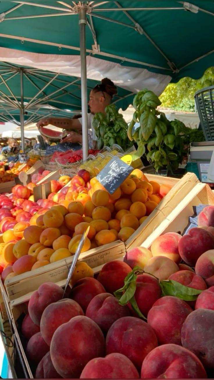 Farmhouse Bounty: Fresh-Picked Fruit Medley